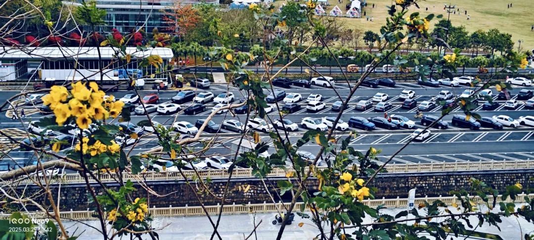 寻芳觅趣正当时,不负春光踏歌行 寻芳觅趣正当时,不负春光踏歌行