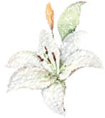 寻芳觅趣正当时,不负春光踏歌行 寻芳觅趣正当时,不负春光踏歌行