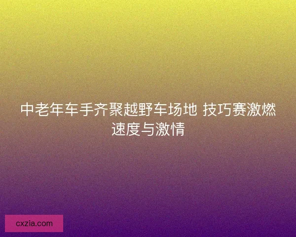 中老年车手齐聚越野车场地 技巧赛激燃速度与激情