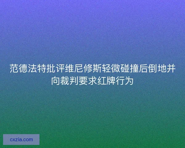 范德法特批评维尼修斯轻微碰撞后倒地并向裁判要求红牌行为