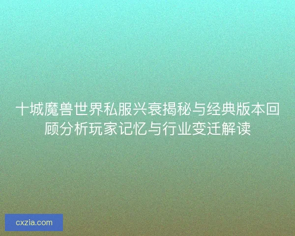 十城魔兽世界私服兴衰揭秘与经典版本回顾分析玩家记忆与行业变迁解读
