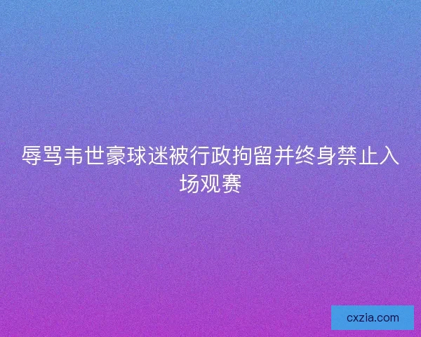 辱骂韦世豪球迷被行政拘留并终身禁止入场观赛