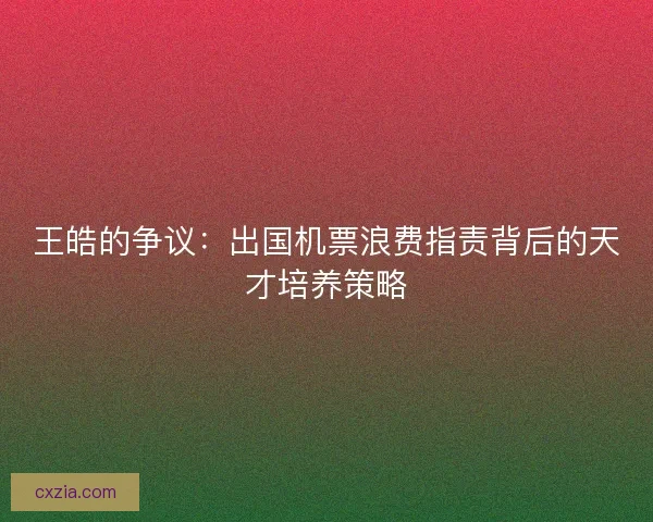 王皓的争议:出国机票浪费指责背后的天才培养策略 王皓的争议:出国机票浪费指责背后的天才培养策略